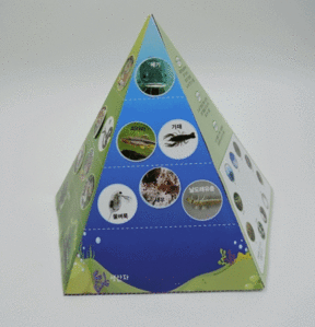 생태 피라미드 5인